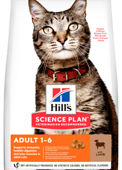 Hills Science Plan Adult Cat with Lamb | 10 kg